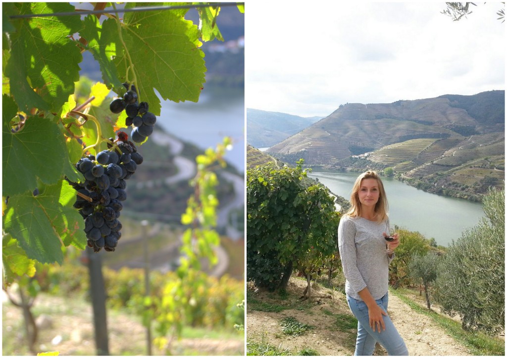 bekendste-druifsoorten