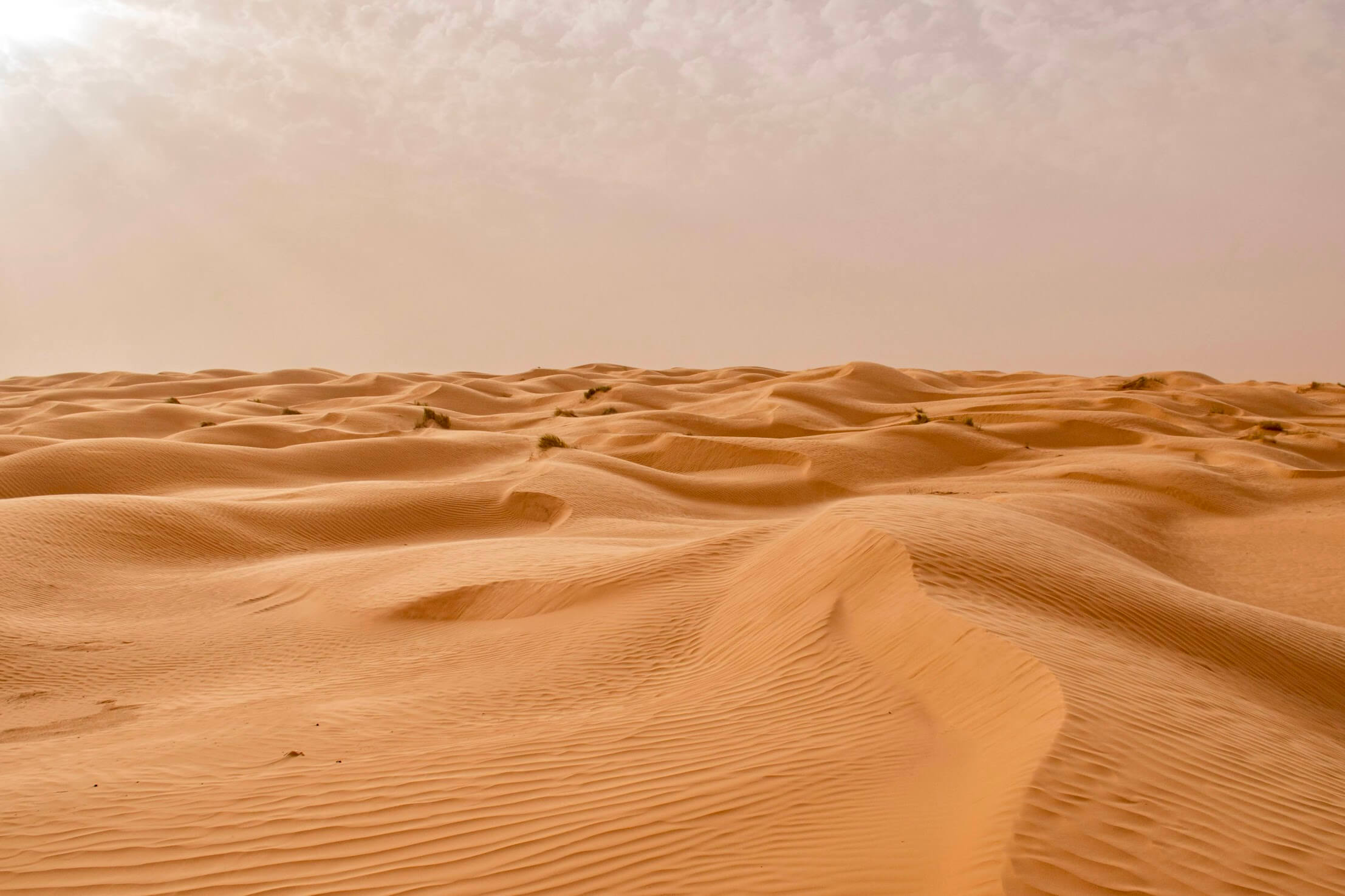 woestijn-Tunesië